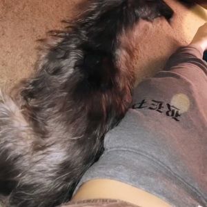 Taylor Swift Reputation Sweatpants Size Small